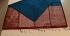 PL Softee Saree